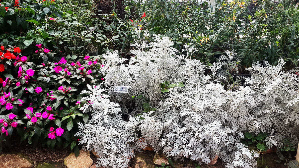 bhubing palace, winter palace, attractions in chiang mai