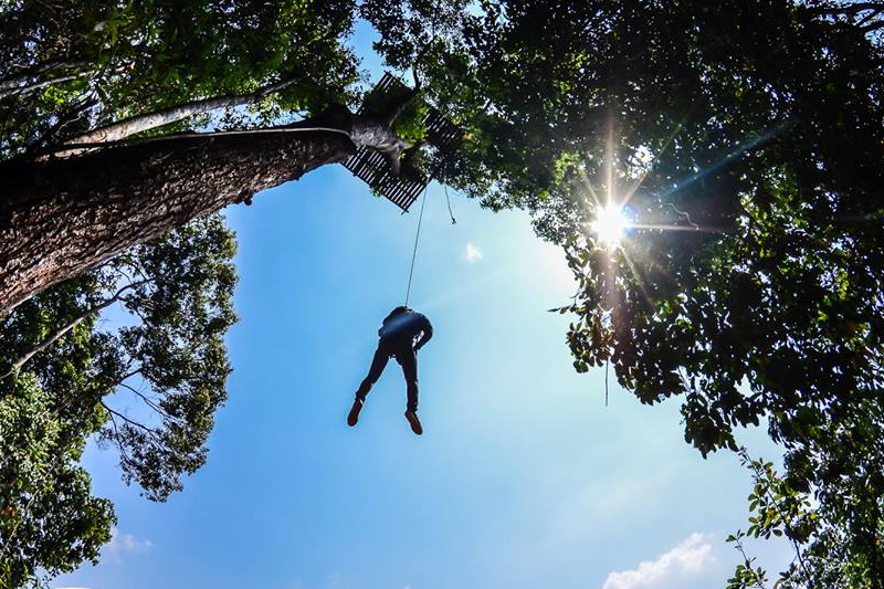 chiang mai activities, thing to do in chiang mai, chiang mai zipline, chiang mai canopy