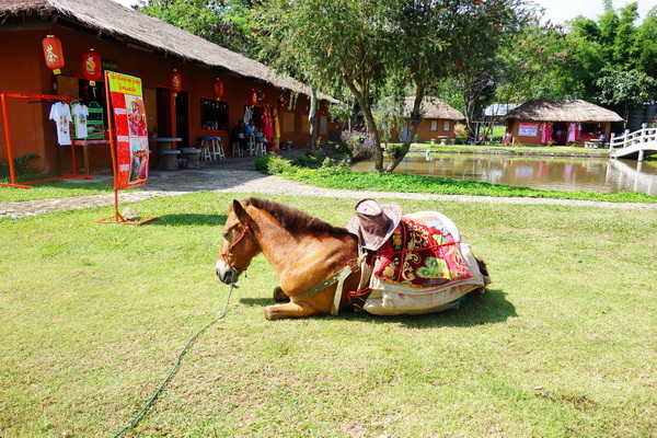 chinese yunnan cultural village, chinese yunnan village, santichon village