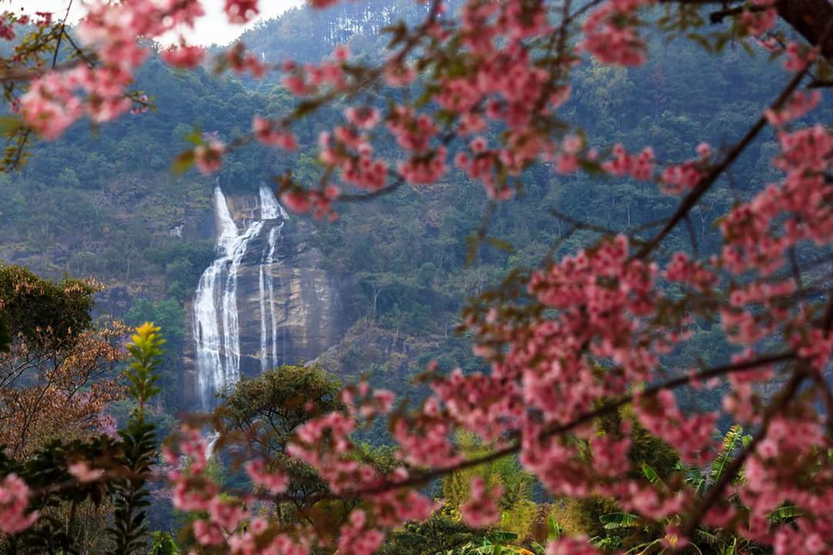 doi inthanon, inthanon national park, doi inthanon national park, inhanon