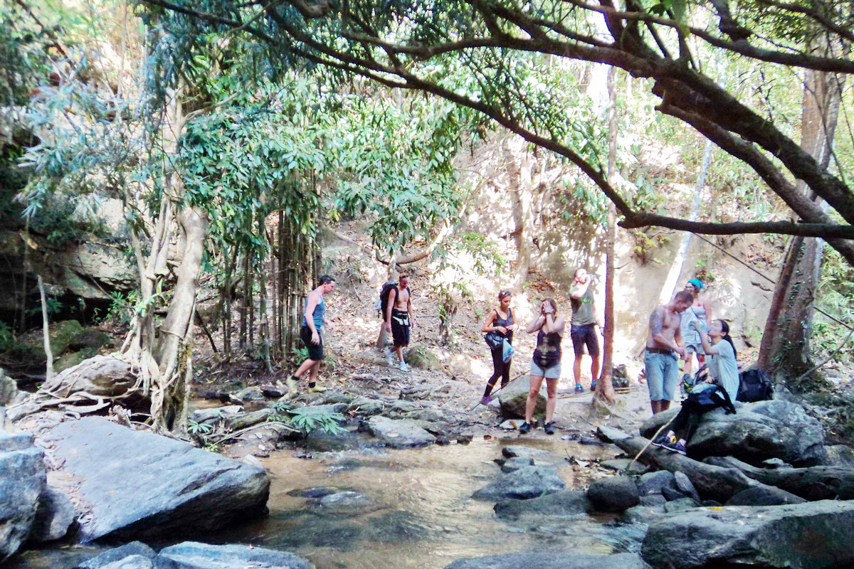 doi inthanon, inthanon national park, doi inthanon national park, inhanon