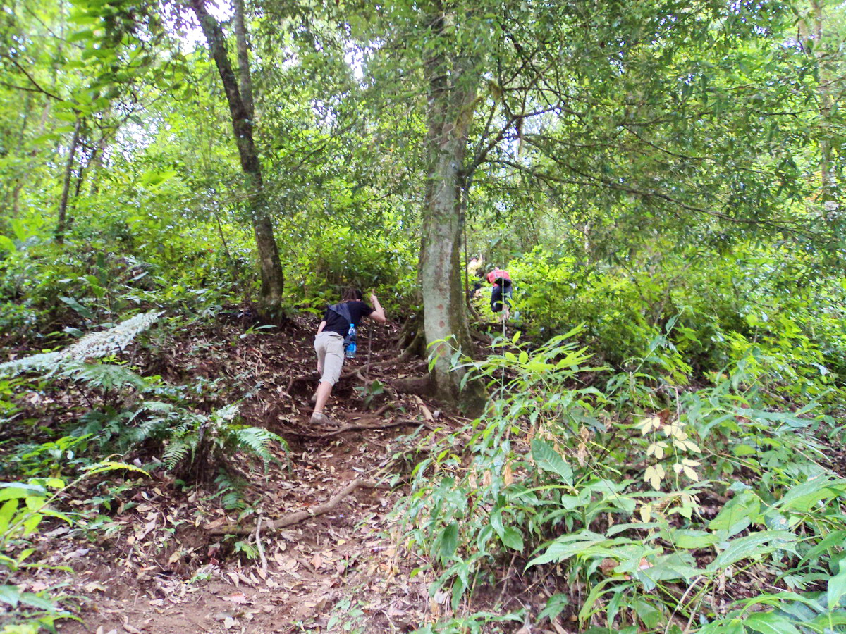 doi inthanon, inthanon national park, doi inthanon national park, inhanon