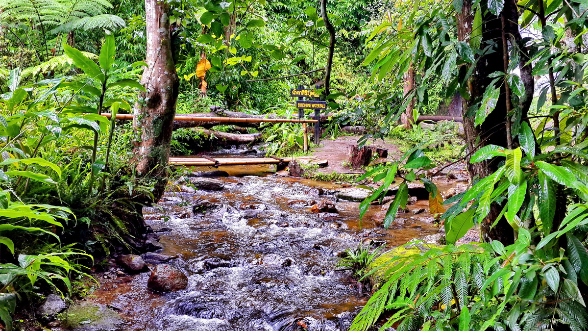 doi inthanon, inthanon national park, doi inthanon national park, inhanon