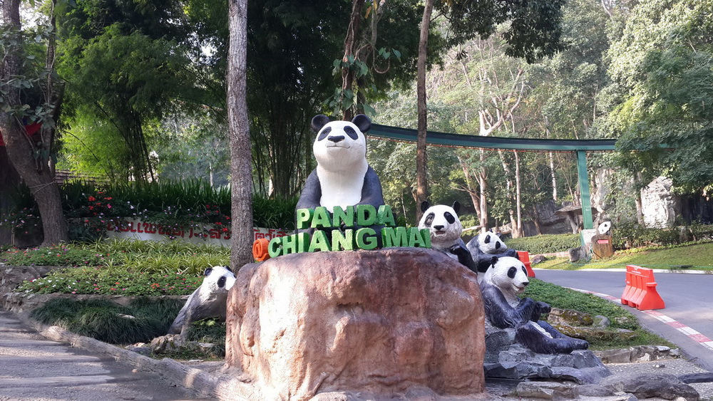 chiang mai zoo opening hours