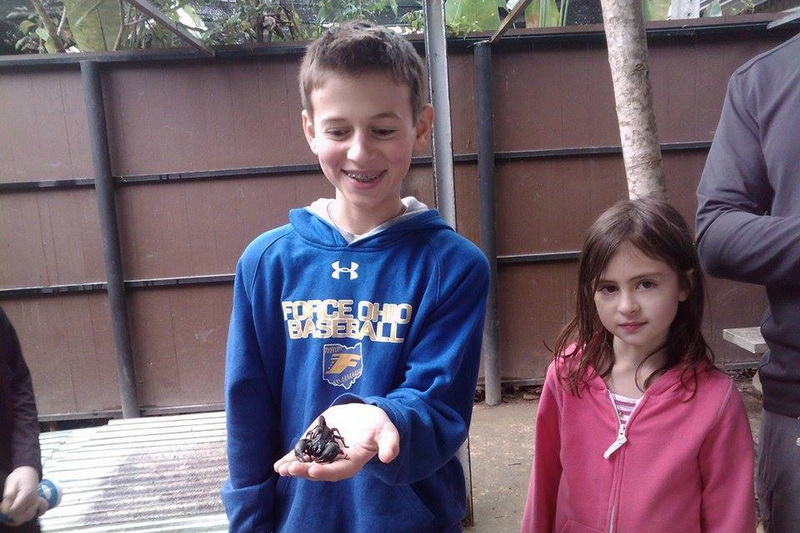 zoos in chiang mai, chiang mai zoos