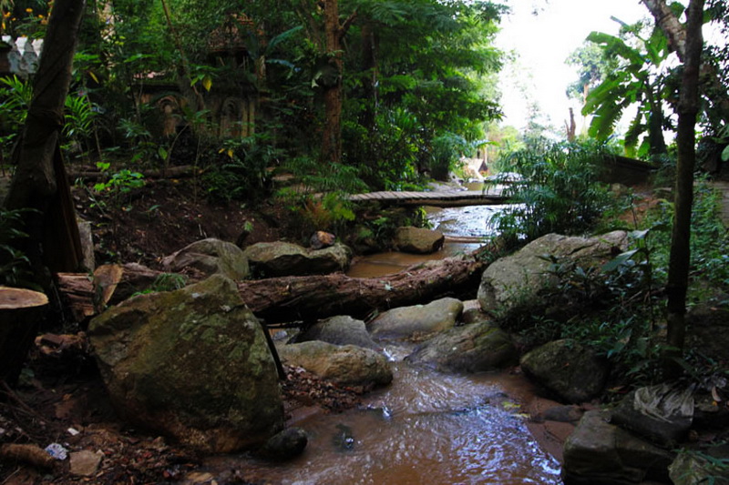 hiking at doi suthep, hiking at doi suthep - pui national park, trekking at doi suthep, trekking at doi suthep - pui national park