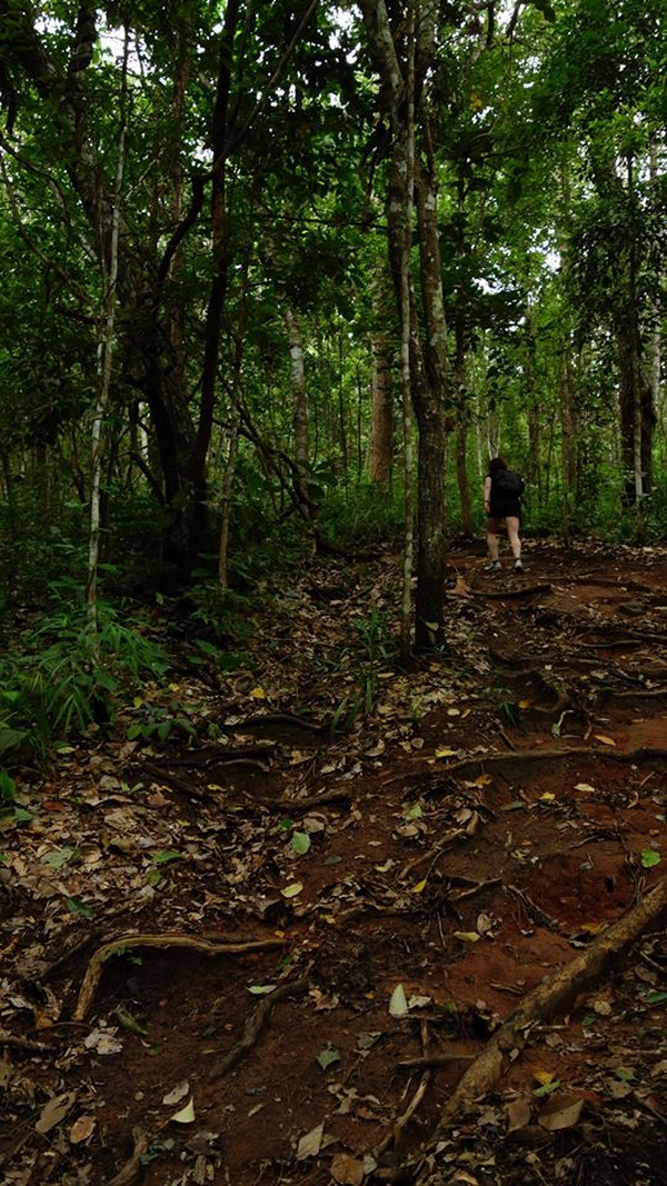 hiking at doi suthep, hiking at doi suthep - pui national park, trekking at doi suthep, trekking at doi suthep - pui national park