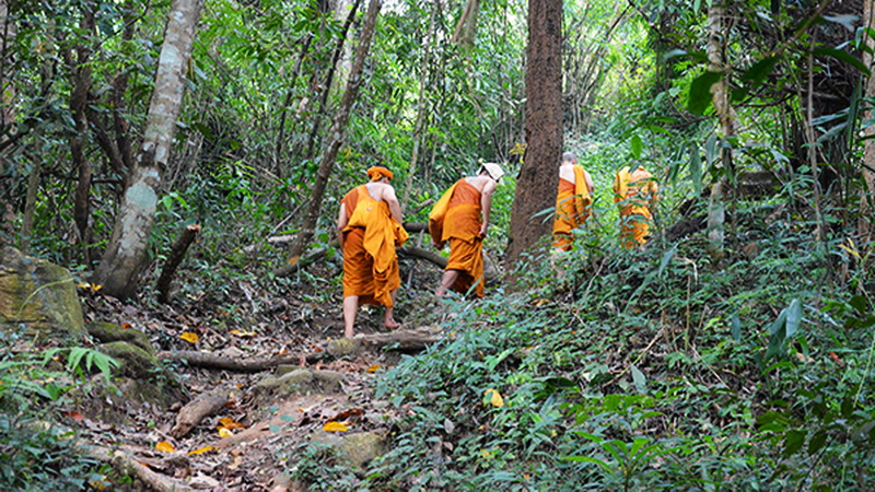 hiking at doi suthep, hiking at doi suthep - pui national park, trekking at doi suthep, trekking at doi suthep - pui national park