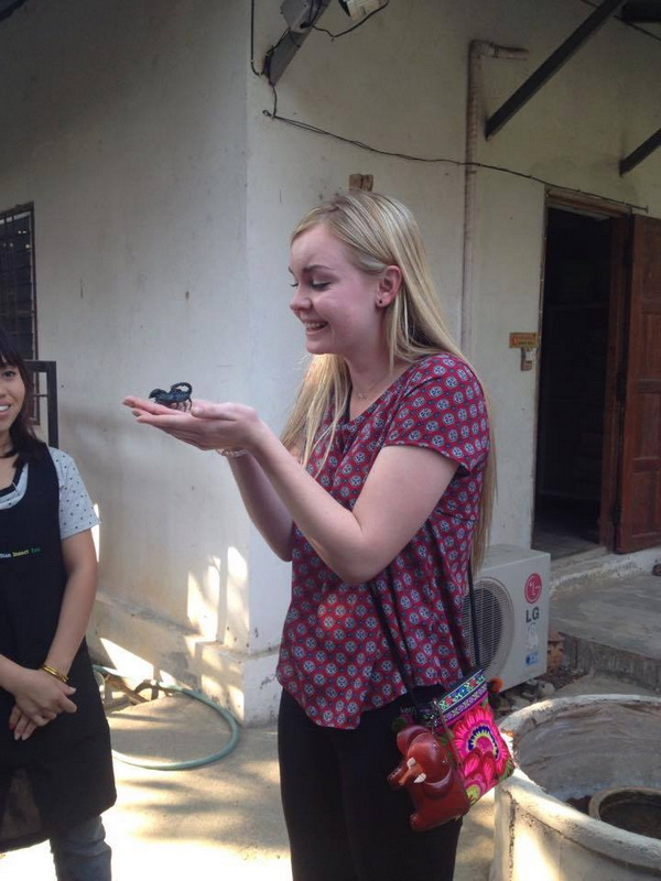 siam insect zoo, siam insect zoo chiang mai, insect zoo chiang mai