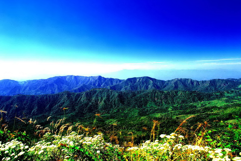 Doi Pha Hom Pok National Park