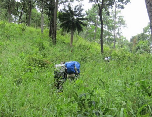 Doi Wiang Pha National Park