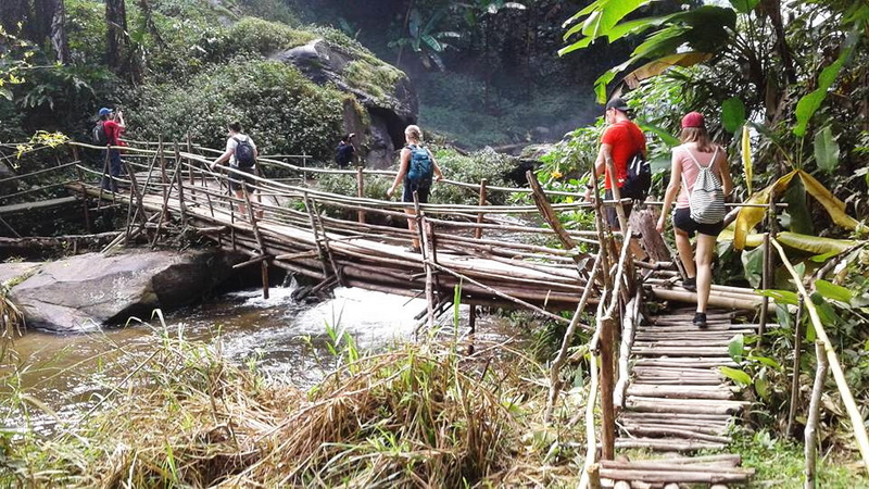 hiking ban mae klang luang, doi inthanon hiking ban mae klang luang, doi inthanon hiking, ban mae klang luang