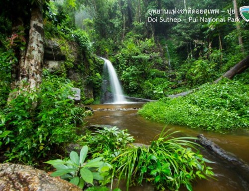 Huai Kaew Waterfall