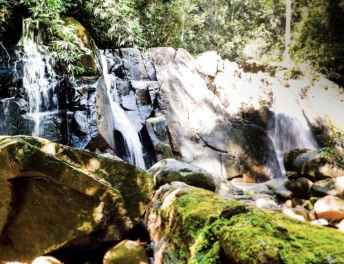 Khun Khan National Park