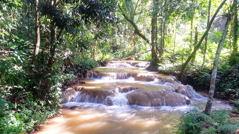 pha daeng national park, pha daeng, pha dang national park