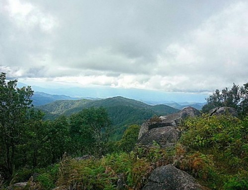 Pha Daeng National Park