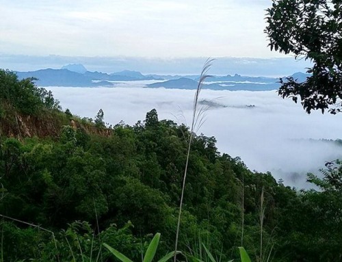 Srilanna National Park