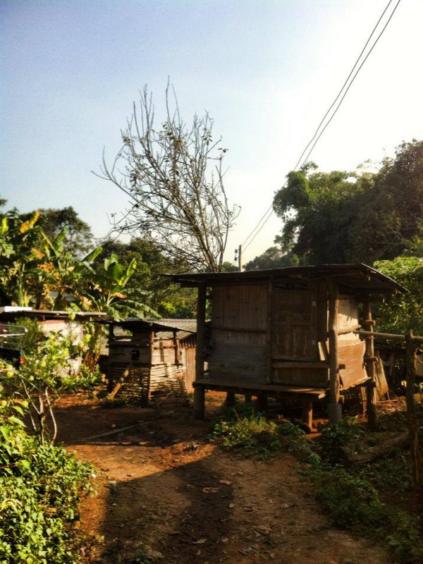 white hmong hill tribe, white hmong hill tribe of khun chang kian, khun chang kian hmong village