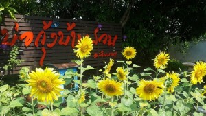 Bo Goong Ban Suan, seafood restaurants in chiang mai, the best seafood restaurants in chiang mai, seafood in chiang mai, the best seafood in chiang mai