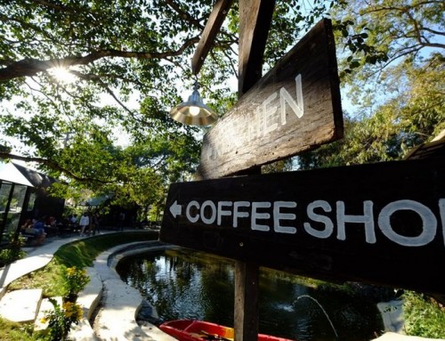 Coffee Shops In Chiang Mai