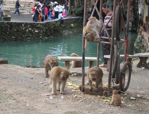 Tham Pum and Tham Pla Cave