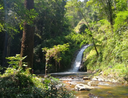 Chae Son National Park