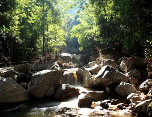 Mae Wa National Park