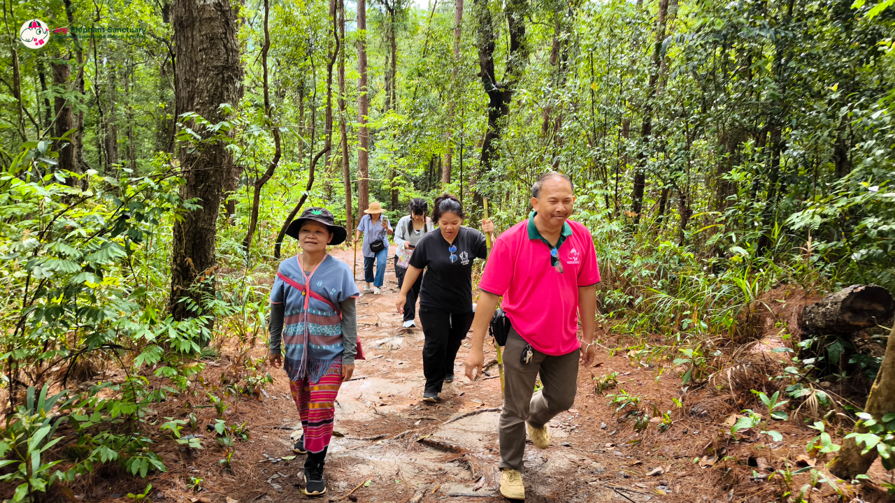 elephant observation and hiking doi inthanon, elephant observation and trekking doi inthanon, elephant observation and doi inthanon hike, elephant observation and doi inthanon trek, elephant surveying and doi inthanon hiking, doi inthanon hiking, doi inthanon trekking