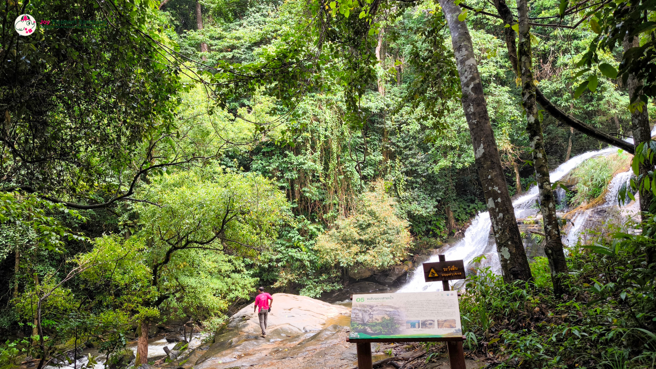 elephant observation and hiking doi inthanon, elephant observation and trekking doi inthanon, elephant observation and doi inthanon hike, elephant observation and doi inthanon trek, elephant surveying and doi inthanon hiking, doi inthanon hiking, doi inthanon trekking