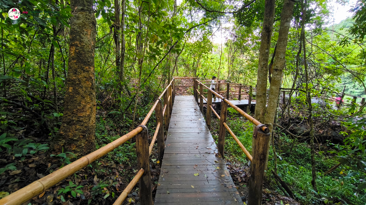 elephant observation and hiking doi inthanon, elephant observation and trekking doi inthanon, elephant observation and doi inthanon hike, elephant observation and doi inthanon trek, elephant surveying and doi inthanon hiking, doi inthanon hiking, doi inthanon trekking