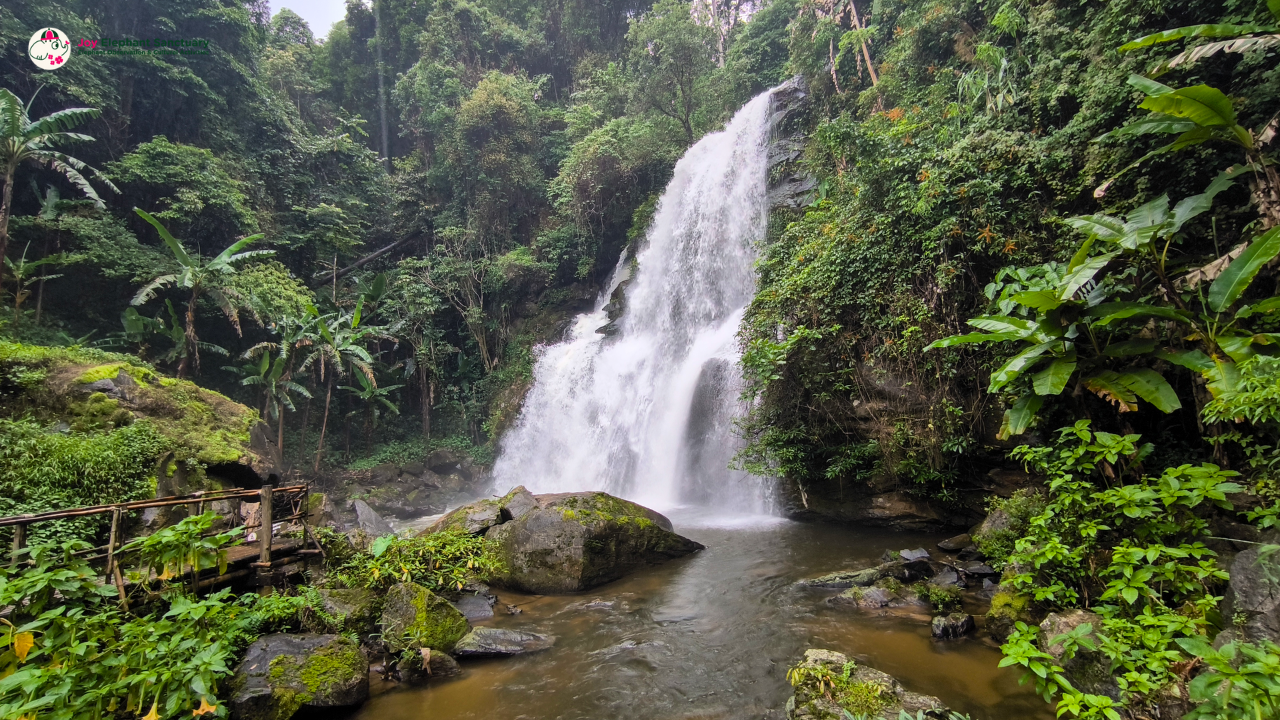 hiking pha dok siew nature trail, pha dok siew nature trail, trekking baan mae klang luang, baan mae klang luang, trekking pha dok siew, hiking pha dok siew