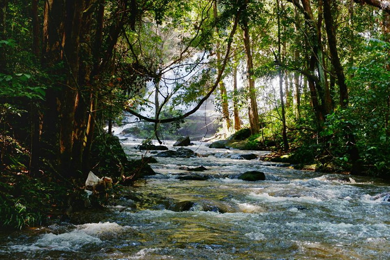 trekking at baan mae klang luang, trekking at pha dok siew nature trail, trek baan mae klang luang, tour trekking at baan mae klang luang, doi tnthanon national park, doi inthanon, trekking doi inthanon national park, trekking doi inthanon