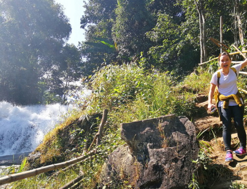 Chiang Mai Trek11 : Trekking at Baan Mae Klang Luang Doi Inthanon Nationak Park