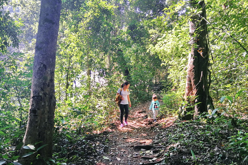 trekking at baan mae klang luang, trekking at pha dok siew nature trail, trek baan mae klang luang, tour trekking at baan mae klang luang, doi tnthanon national park, doi inthanon, trekking doi inthanon national park, trekking doi inthanon