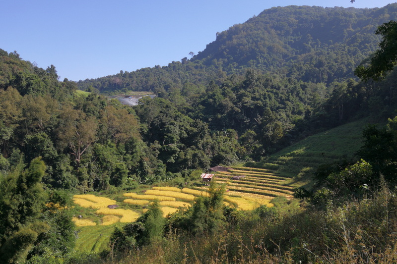 trekking at baan mae klang luang, trekking at pha dok siew nature trail, trek baan mae klang luang, tour trekking at baan mae klang luang, doi tnthanon national park, doi inthanon, trekking doi inthanon national park, trekking doi inthanon