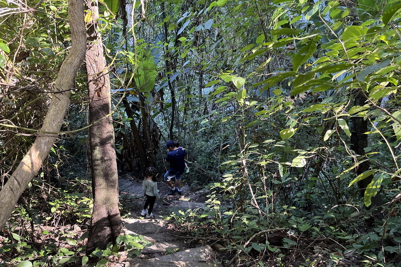 Trekking doi outlet suthep