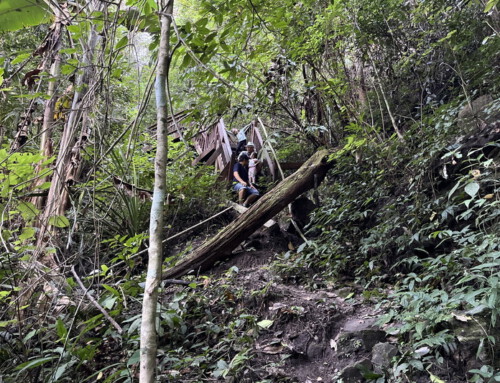 Chiang Mai Trek13 : Half Day Doi Suthep Trek