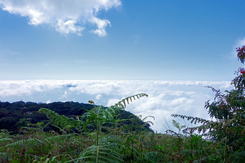 trekking at kew mae pan, trekking at kew mae pan nature trail, trek kew pae pan, tour trekking at kew mae pan nature trail, doi tnthanon national park, doi inthanon, trekking doi inthanon national park, trekking doi inthanon