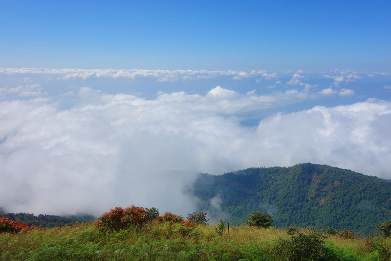 trekking at kew mae pan, trekking at kew mae pan nature trail, trek kew pae pan, tour trekking at kew mae pan nature trail, doi tnthanon national park, doi inthanon, trekking doi inthanon national park, trekking doi inthanon