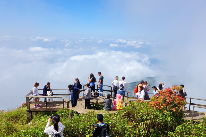 trekking at kew mae pan, trekking at kew mae pan nature trail, trek kew pae pan, tour trekking at kew mae pan nature trail, doi tnthanon national park, doi inthanon, trekking doi inthanon national park, trekking doi inthanon