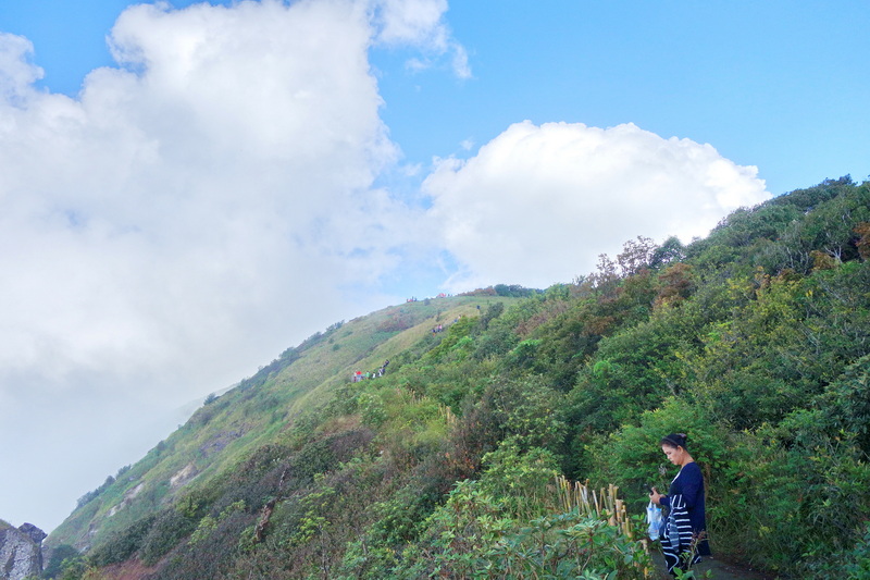 trekking at kew mae pan, trekking at kew mae pan nature trail, trek kew pae pan, tour trekking at kew mae pan nature trail, doi tnthanon national park, doi inthanon, trekking doi inthanon national park, trekking doi inthanon