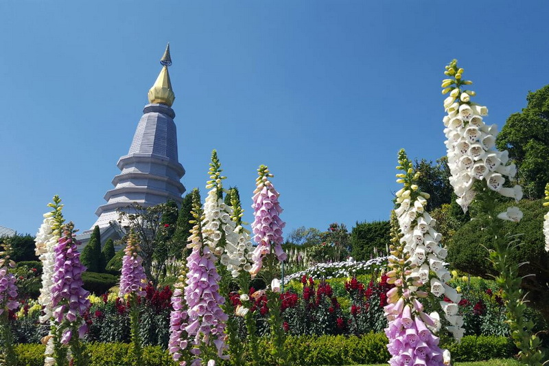 twin pagodas, king and queen pagoda, doi tnthanon national park, doi inthanon, trekking doi inthanon national park, trekking doi inthanon