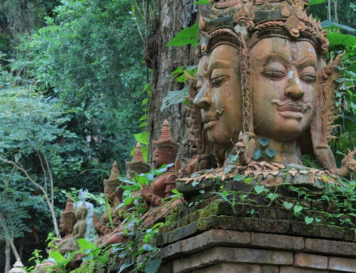 Chiang Mai Trek12 : Full Day Monk Trail Trekking to Doi  Suthep Temple