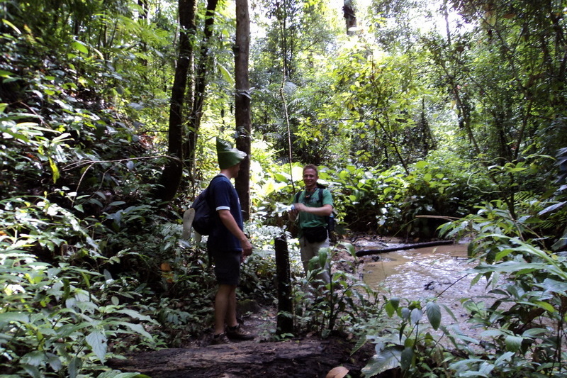 hiking doi inthanon, hiking doi inthanon national park, treking doi inthanon, trekking doi inthanon national park, doi inthanon trek only walk