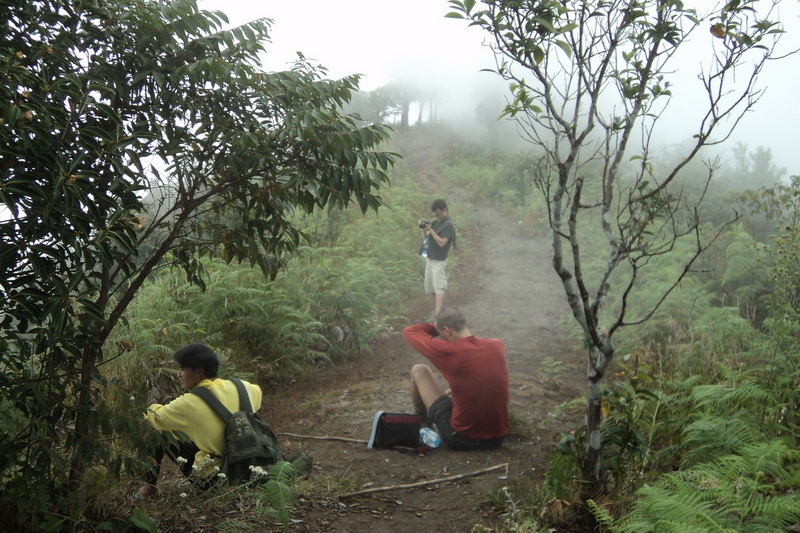 hiking doi inthanon, hiking doi inthanon national park, treking doi inthanon, trekking doi inthanon national park, doi inthanon trek only walk