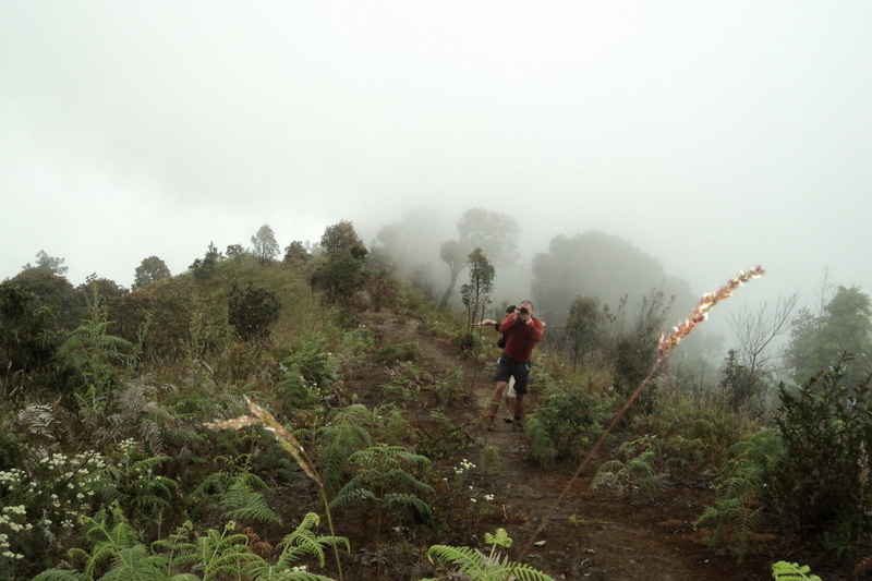 hiking doi inthanon, hiking doi inthanon national park, treking doi inthanon, trekking doi inthanon national park, doi inthanon trek only walk