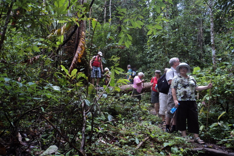 hiking doi inthanon, hiking doi inthanon national park, treking doi inthanon, trekking doi inthanon national park, doi inthanon trek only walk