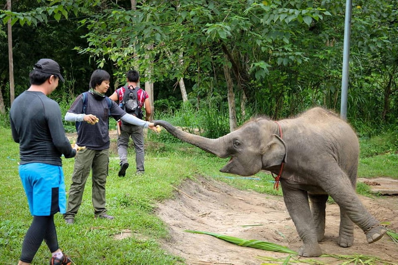 1 day private trek mae wang, 1 day trek mae wang, day trek mae wang, chiang mai treks, chiang mai trekking, 1 day real trekking in chiang mai