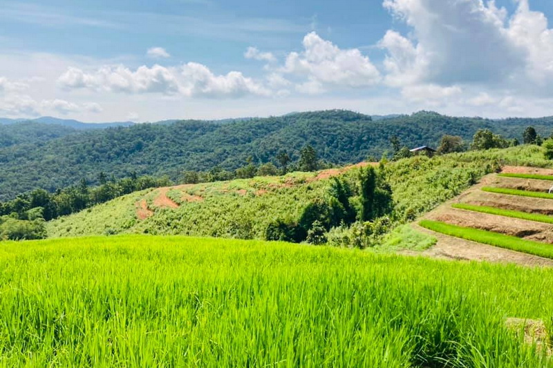 1 day private trek mae wang, 1 day trek mae wang, day trek mae wang, chiang mai treks, chiang mai trekking, 1 day real trekking in chiang mai