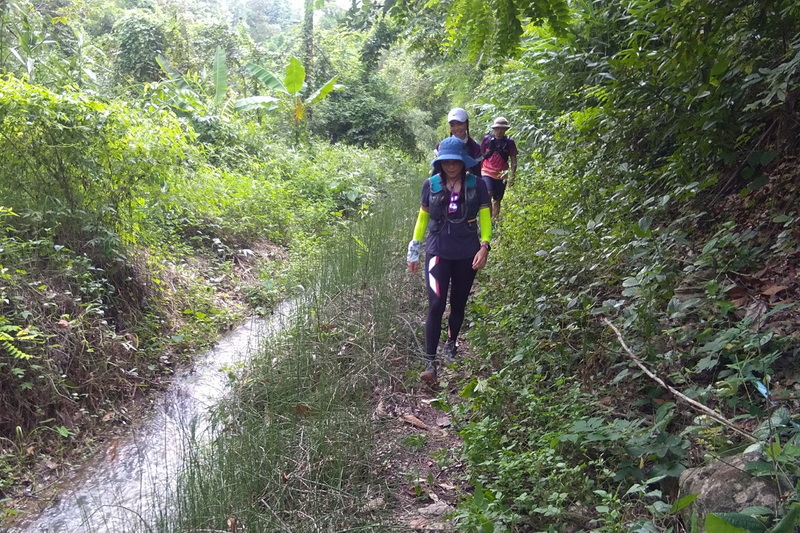 1 day private trek mae wang, 1 day trek mae wang, day trek mae wang, chiang mai treks, chiang mai trekking, 1 day real trekking in chiang mai